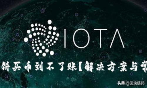 TPWallet博饼买币到不了账？解决方案与常见问题解析