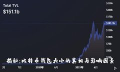 揭秘：比特币钱包大小的真相与影响因素