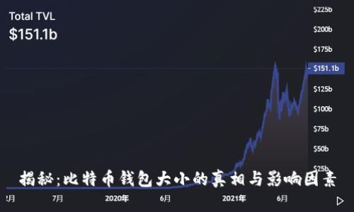 揭秘：比特币钱包大小的真相与影响因素
