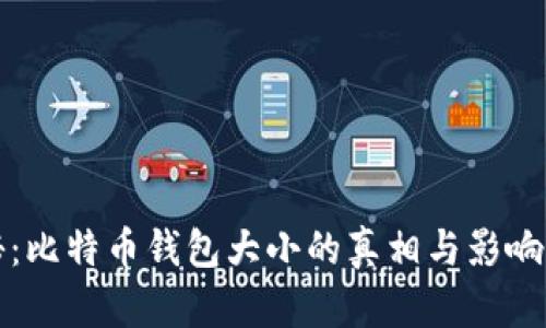 揭秘：比特币钱包大小的真相与影响因素