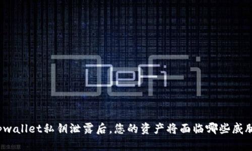 tpwallet私钥泄露后，您的资产将面临哪些威胁？