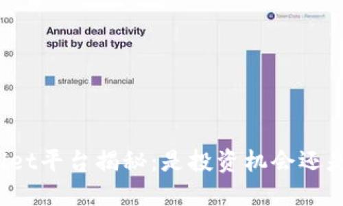 TPWallet平台揭秘：是投资机会还是骗局？