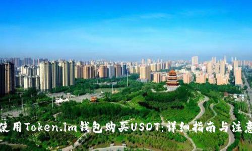 如何使用Token.im钱包购买USDT：详细指南与注意事项