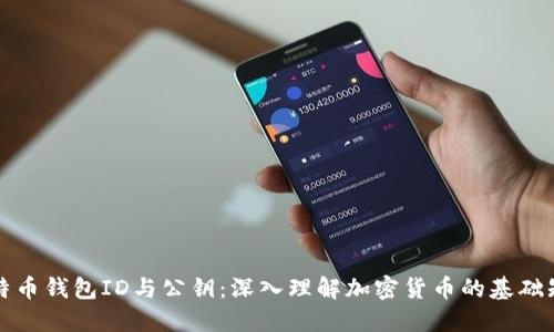 比特币钱包ID与公钥：深入理解加密货币的基础知识