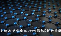 如何在苹果手机上下载安装OPPO钱包？详细步骤与