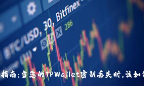 :
  紧急指南：当您的TPWallet密钥丢失时，该如何应对？