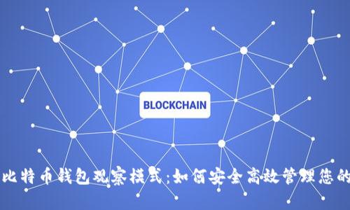 深入了解比特币钱包观察模式：如何安全高效管理您的数字资产