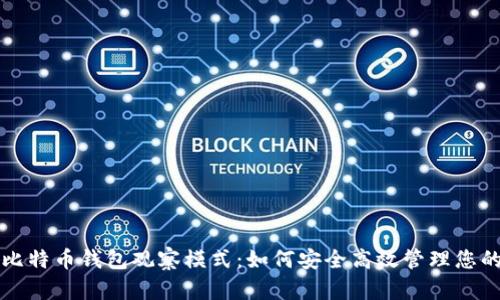 深入了解比特币钱包观察模式：如何安全高效管理您的数字资产