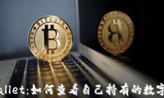 探索TPWallet：如何查看自己持有的数字货币资产