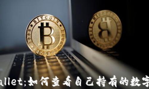 
探索TPWallet：如何查看自己持有的数字货币资产