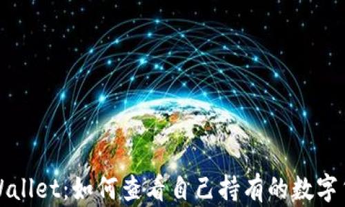 
探索TPWallet：如何查看自己持有的数字货币资产