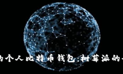 构建你的个人比特币钱包：树莓派的全面指南