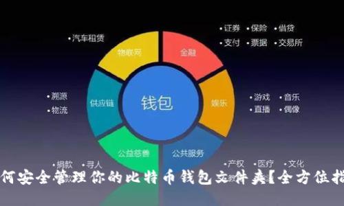 如何安全管理你的比特币钱包文件夹？全方位指南