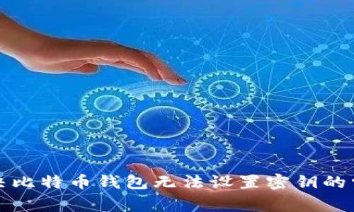 如何解决比特币钱包无法设置密钥的常见问题