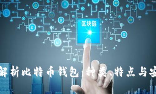 全面解析比特币钱包：种类、特点与安全性