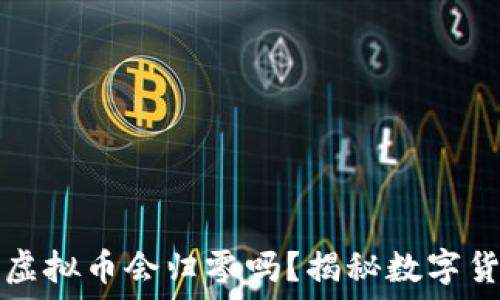   
钱包里的虚拟币会归零吗？揭秘数字货币的未来