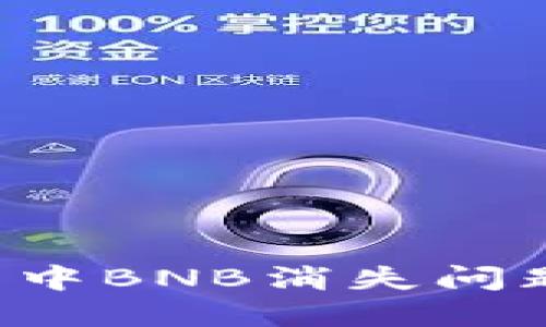  解决TP钱包中BNB消失问题的终极指南