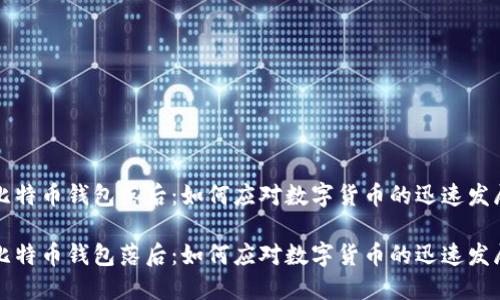 比特币钱包落后：如何应对数字货币的迅速发展

比特币钱包落后：如何应对数字货币的迅速发展