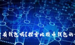 比特币官方有钱包吗？探索比特币钱包的世界与