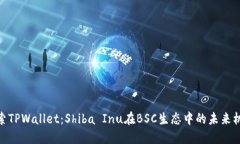 探索TPWallet：Shiba Inu在BSC生态中的未来机遇