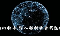如何挽回丢失的比特币：深入解析软件钱包安全