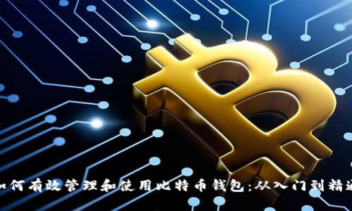 如何有效管理和使用比特币钱包：从入门到精通