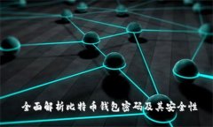  全面解析比特币钱包密码及其安全性