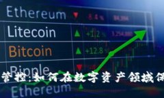 TPWallet风险管控：如何在数字资产领域保障安全与