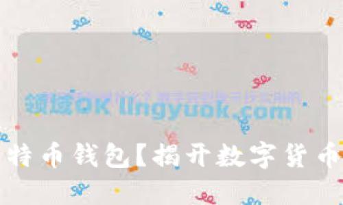 能否破解比特币钱包？揭开数字货币的安全之谜