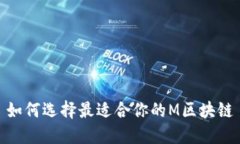 如何选择最适合你的M区块链